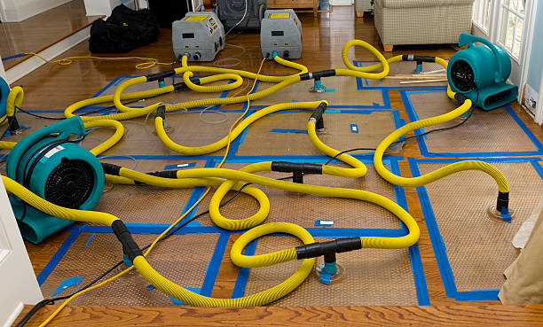 Professional Crawl Space Water Removal technician working in Saint Georges, DE